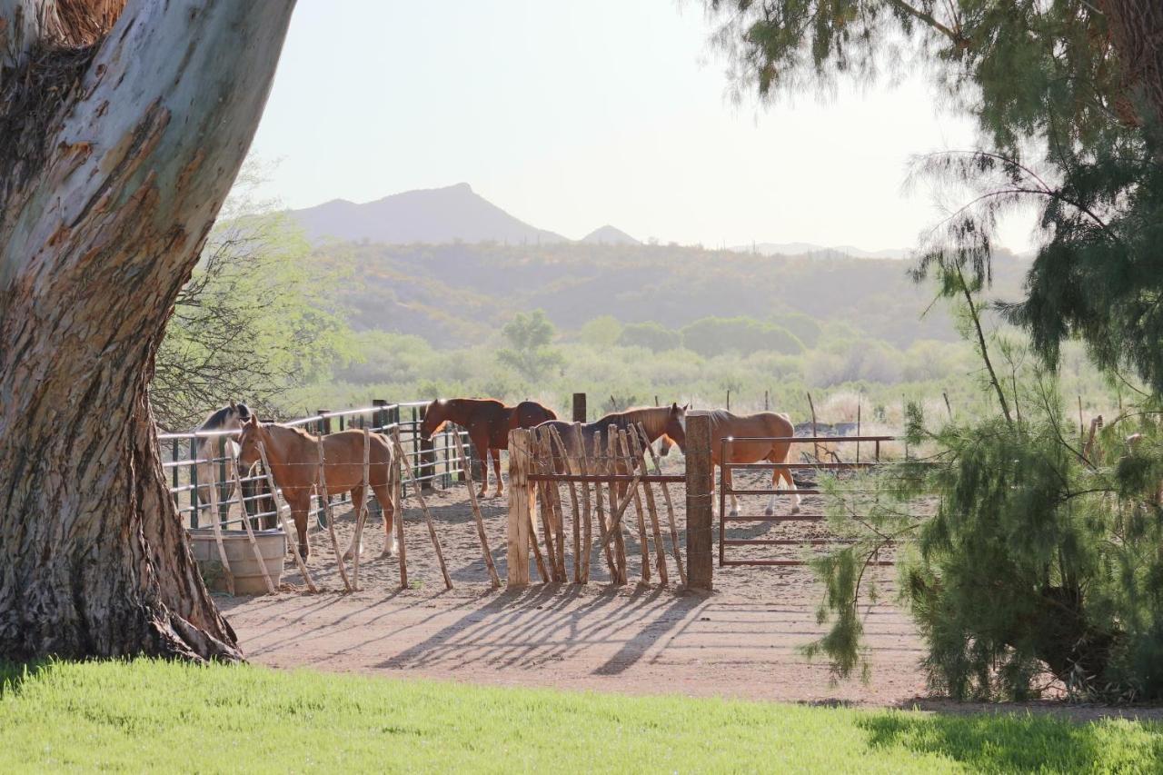 Kay El Bar Guest Ranch Wickenburg Exterior foto
